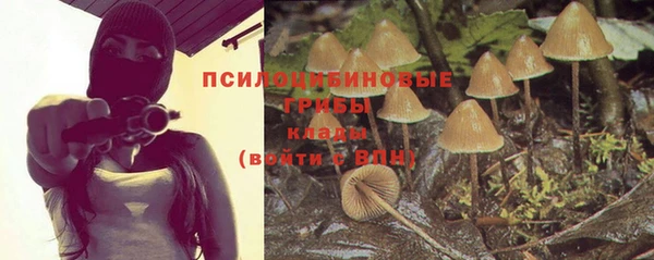 прущая мука Козловка