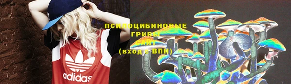 прущая мука Козловка