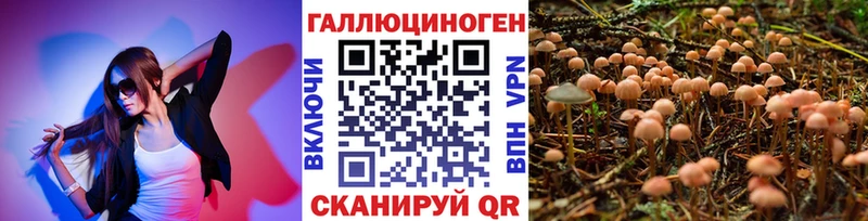 Купить закладки Нефтекамск Псилоцибиновые грибы Psilocybine cubensis